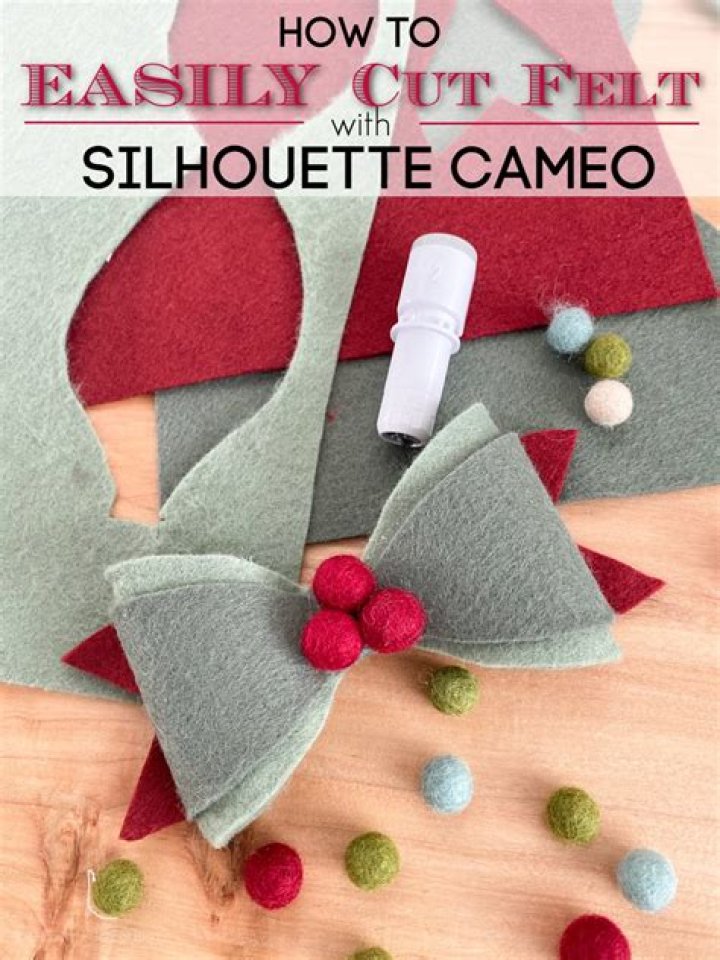 Can you cut felt with a silhouette portrait?