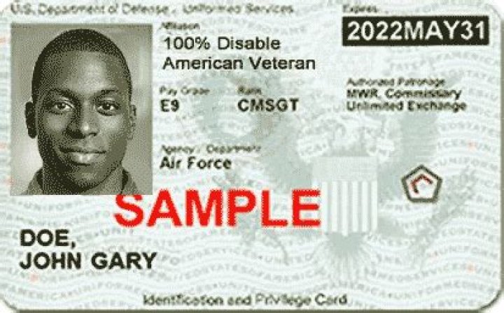 Do 100 disabled vets get ID?