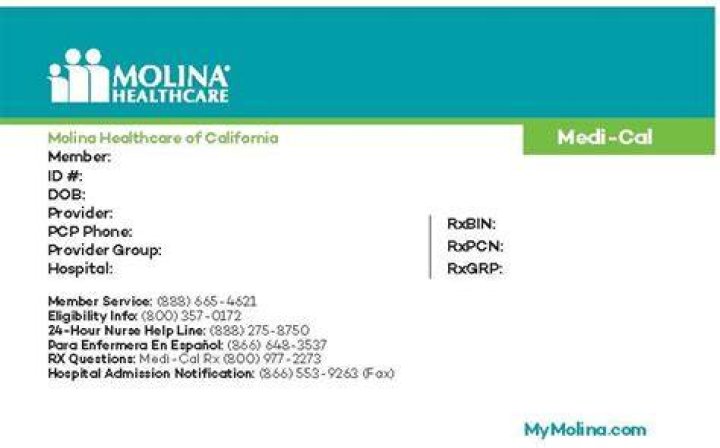 Does Molina Apple Health Cover vision?