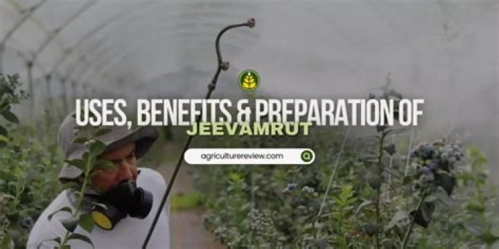 How can we use Jeevamrut for plants?