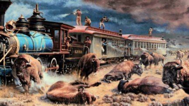 How did the buffalo die out?