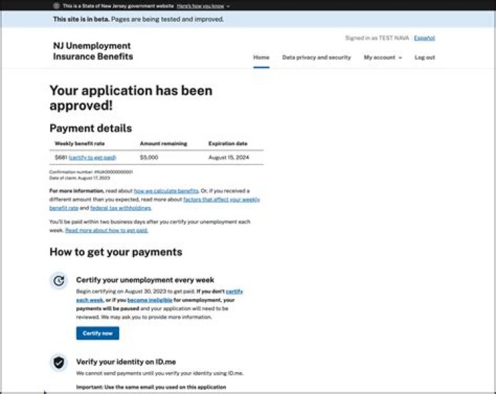 How do I get approved for BMW Financial?