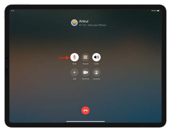 How do I see everyone in GoToMeeting on my iPad?