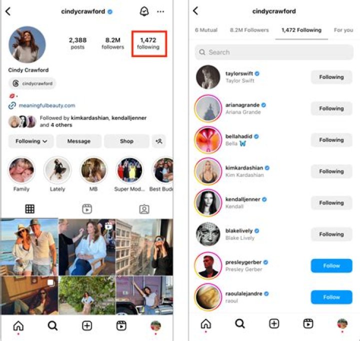 How do you see follower demographics on Instagram?