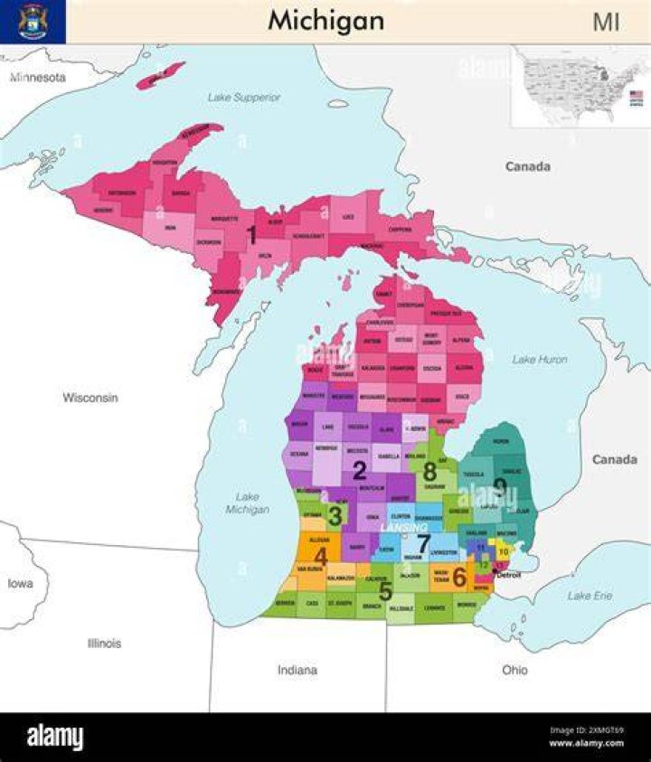How many minors live in Michigan?