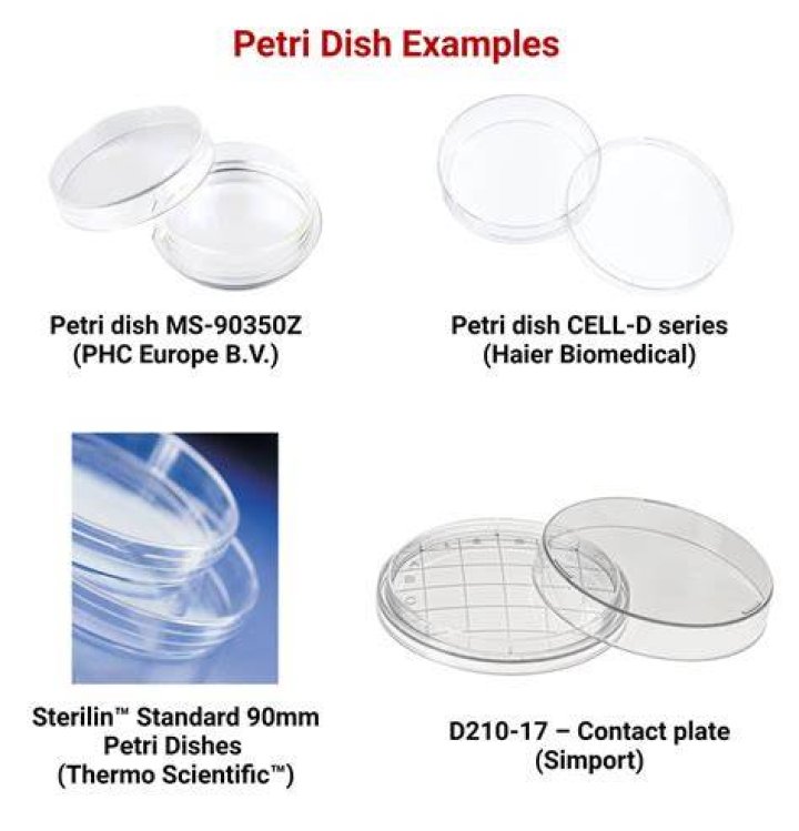 How much do Dish TV installers make?