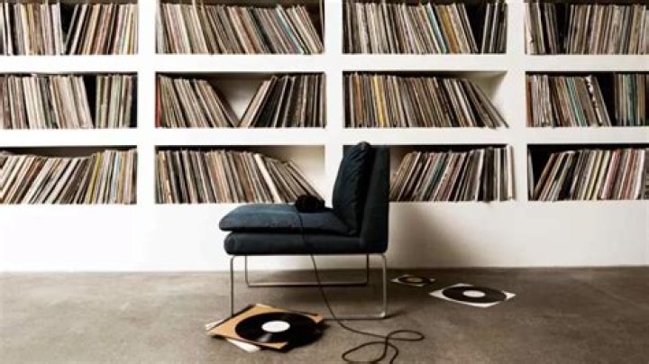 Is collecting vinyls a hobby?
