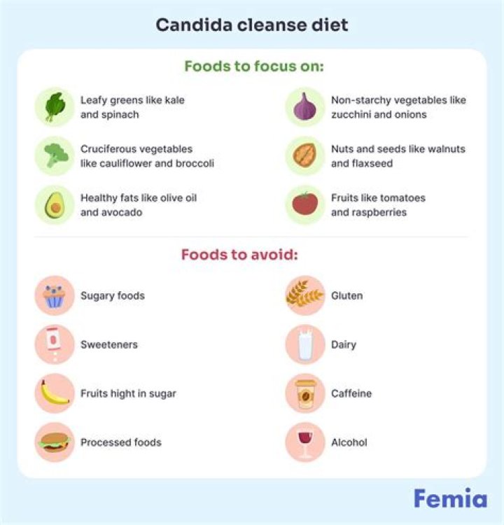 Is goat cheese allowed on Candida Diet?