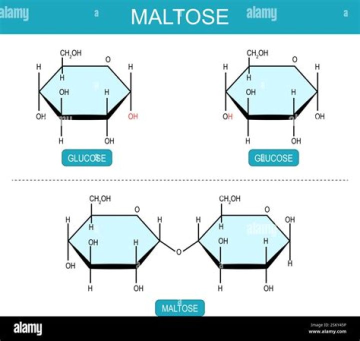 Is maltose sweeter than glucose?