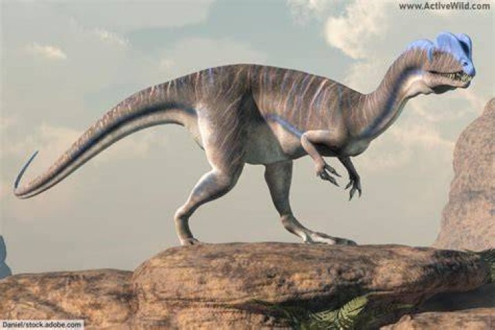 Is the Dilophosaurus in Jurassic Park accurate?