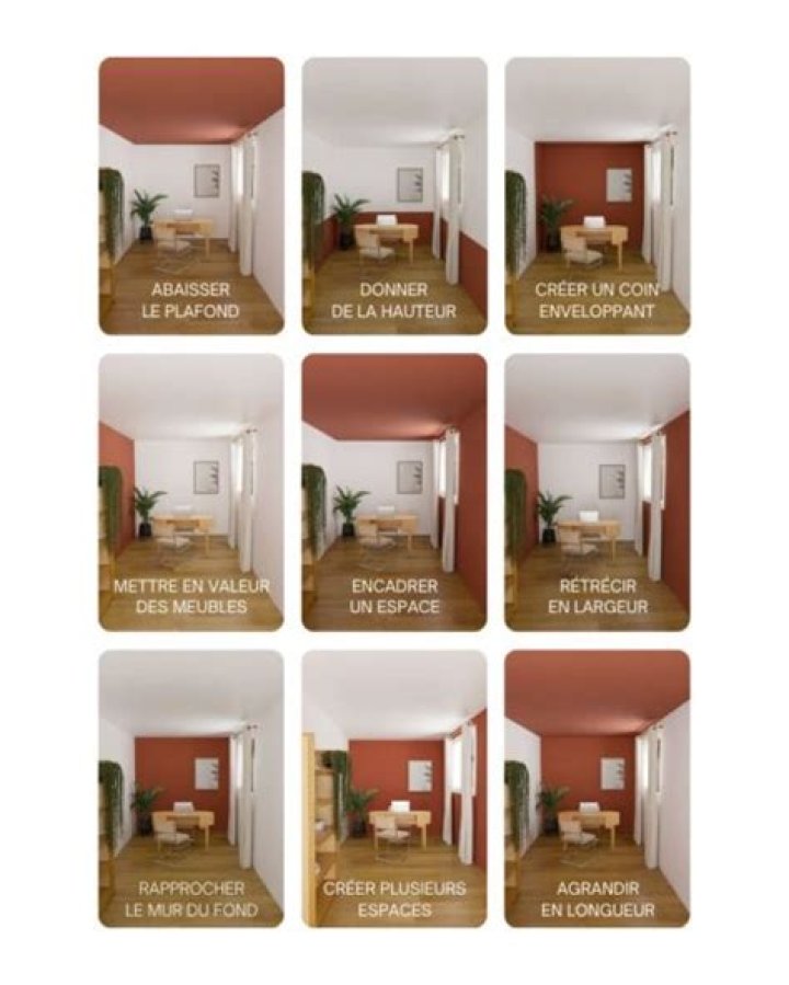 Quel pan de mur peindre en couleur ?