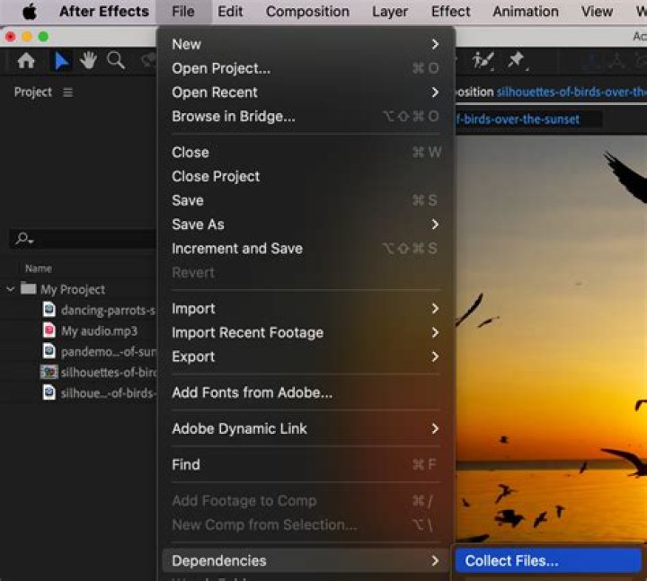 What are After Effects files?
