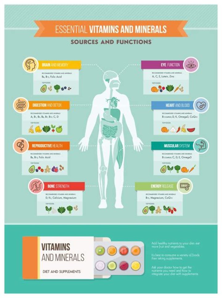 What are essential vitamins?