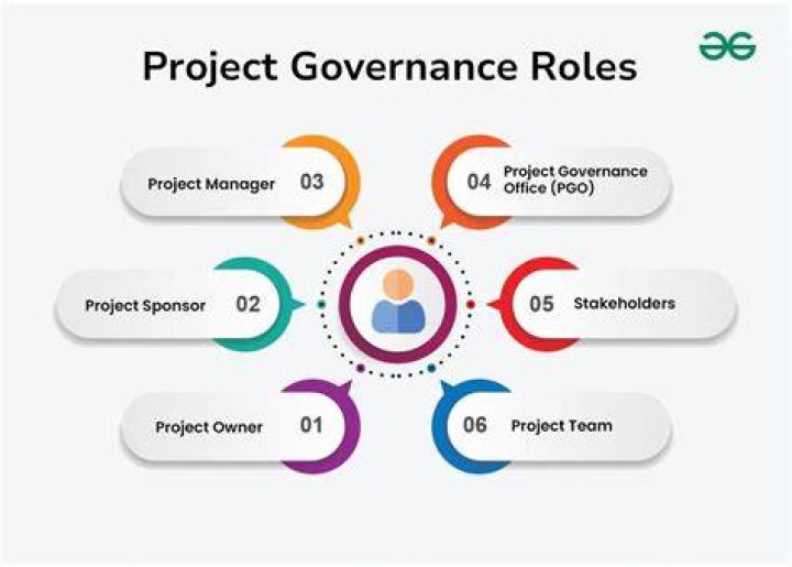 What are governance roles?