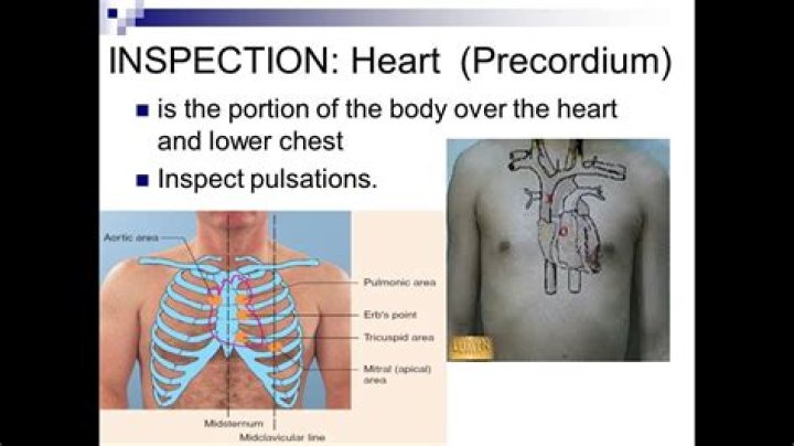 What are the areas of the Precordium to be assessed when evaluating heart functions?