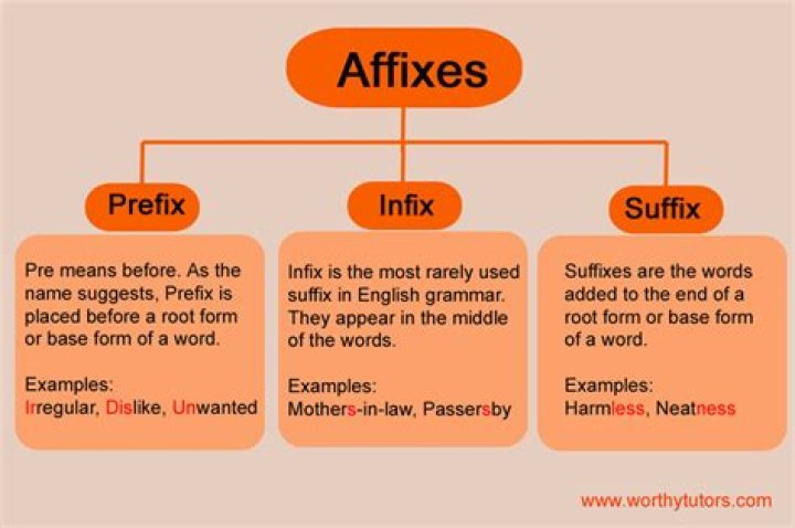 What are the two types of airways?
