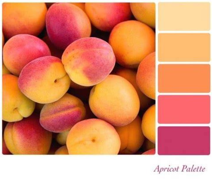 What color matches with apricot?