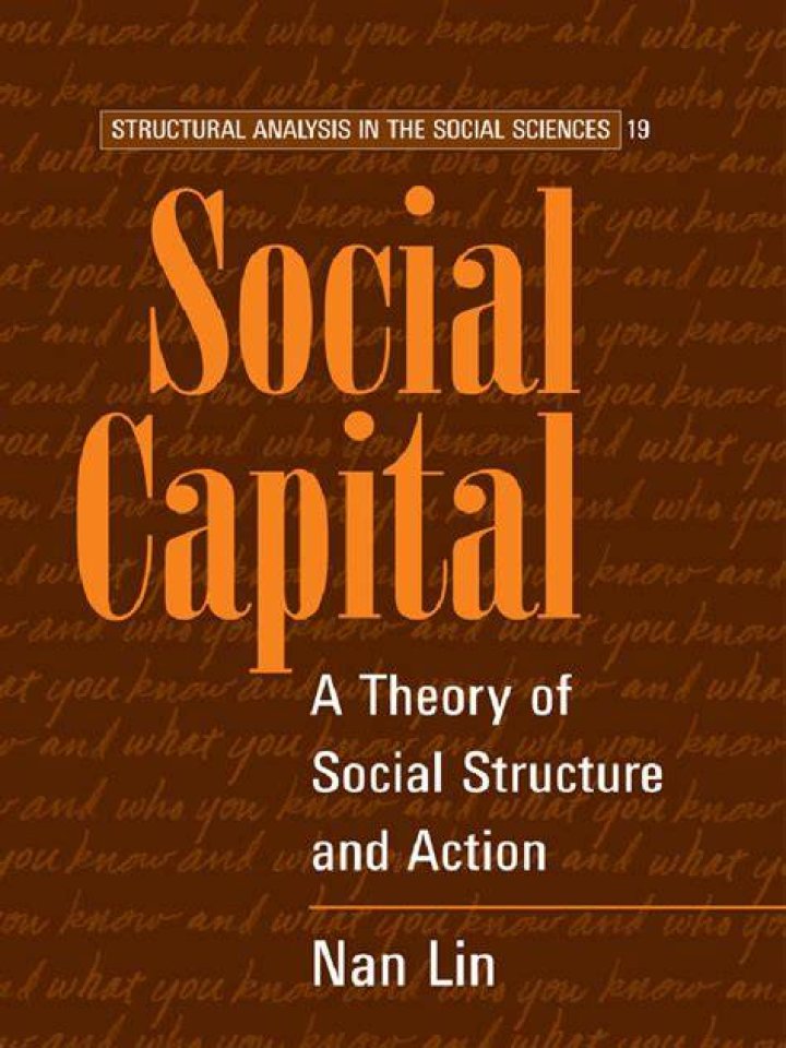What did Nan Lin say about social capital?