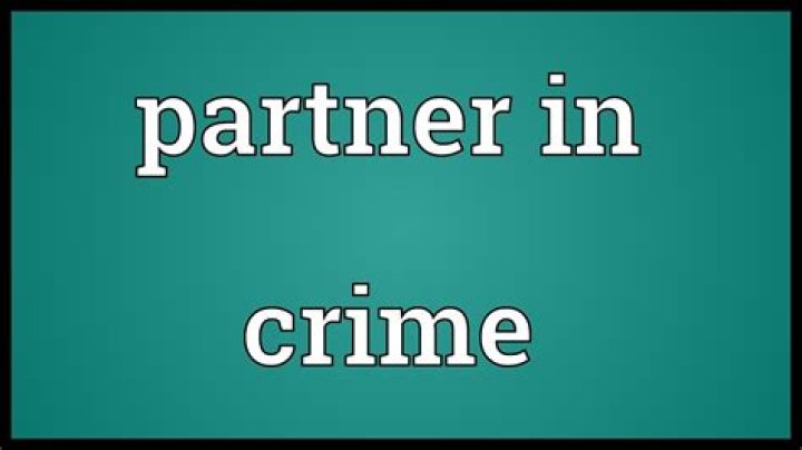 What does partners in crime mean?