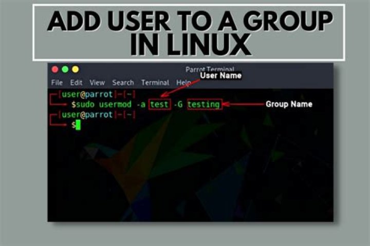 What group is user in Linux?