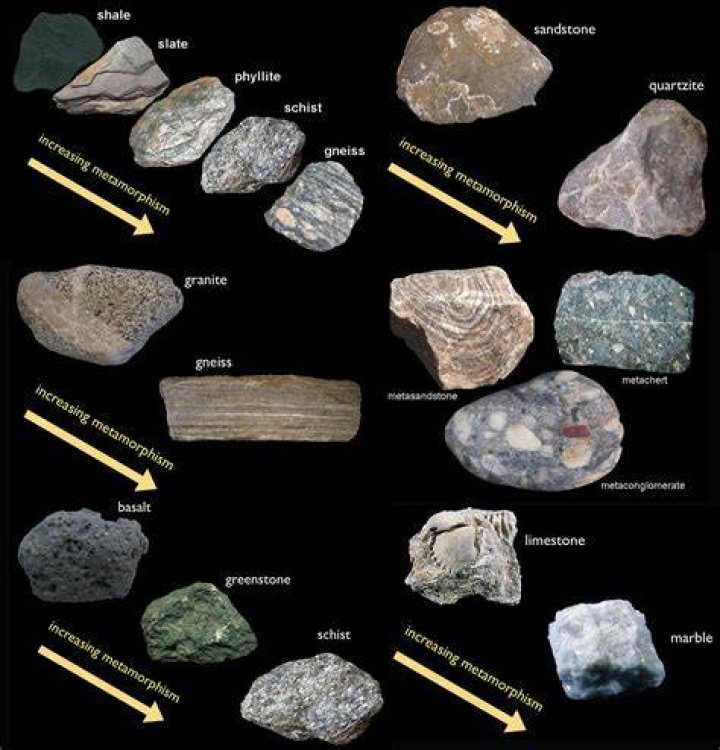 What is a Metamorph?