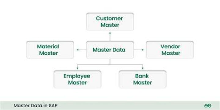 What is master data in SAP HR?
