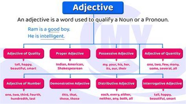What is the adjective of brother?