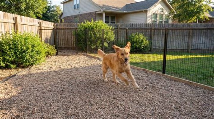 What is the best material for a dog run floor?