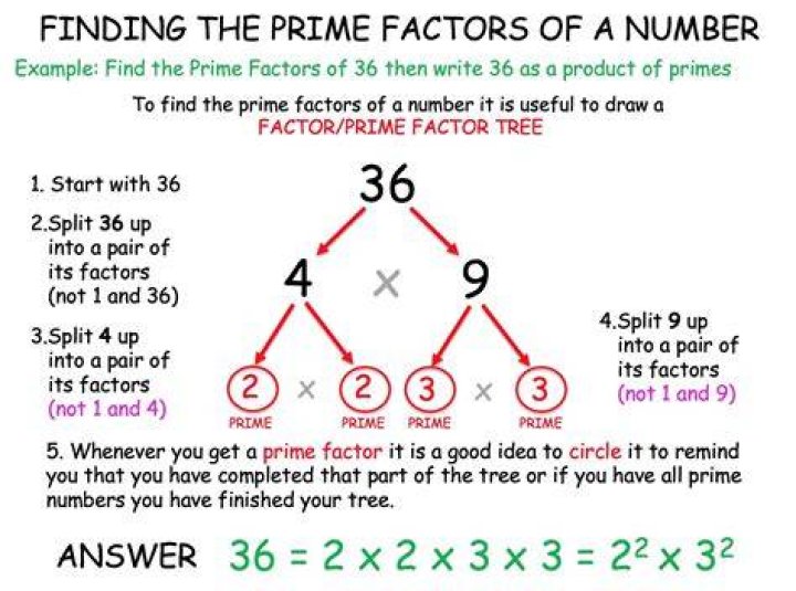 What is the prime factor of 236?