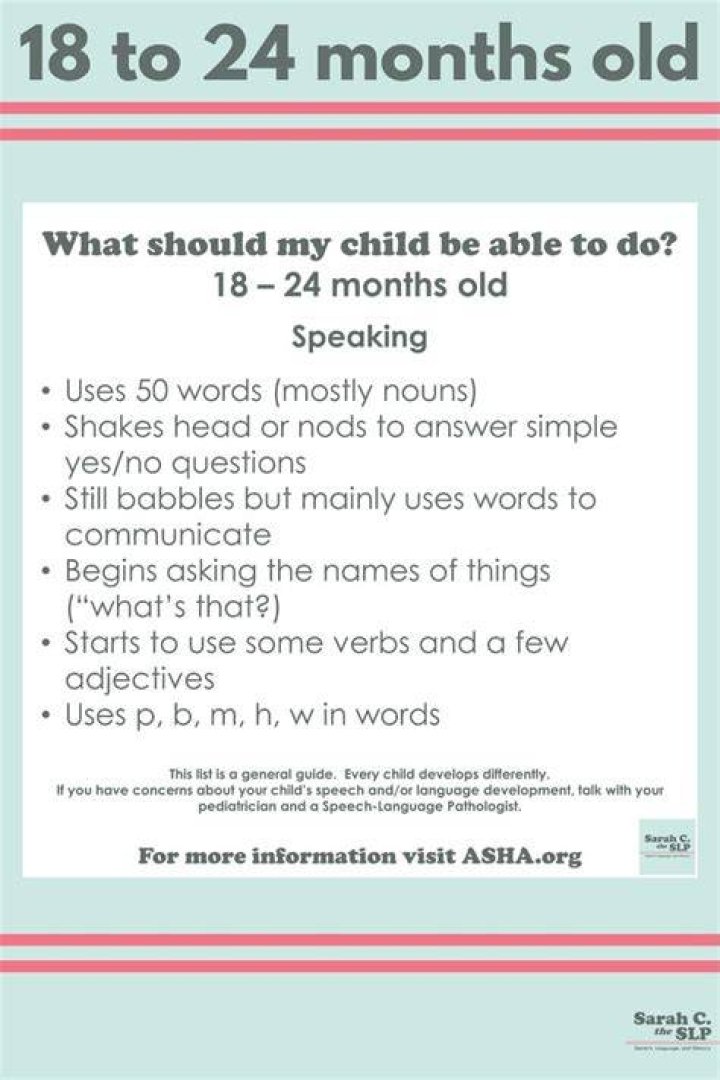 What should my 24 month old be saying?