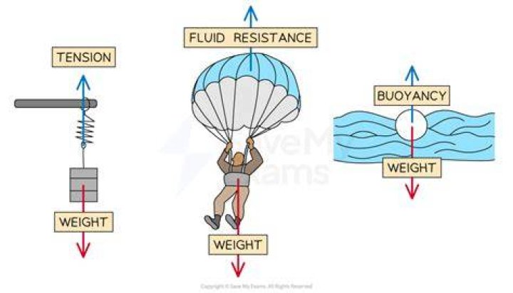 What two types of forces act on a fluid element?