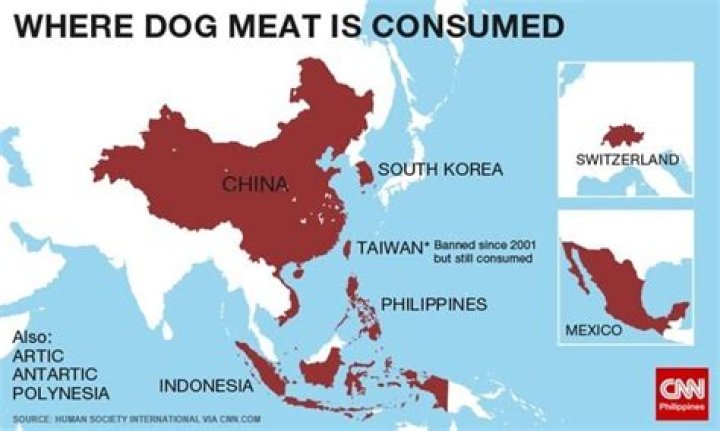Where is the dog meat trade?