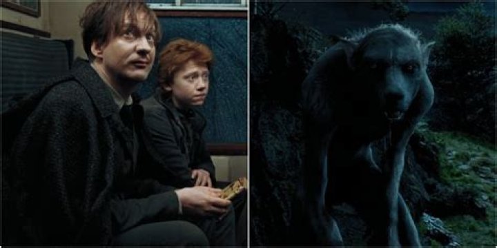 Why did Remus never visit Harry?