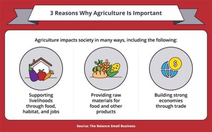 Why is agriculture not widespread in a desert?