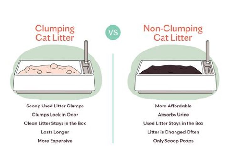 Why is my cat's urine not clumping in the litter?