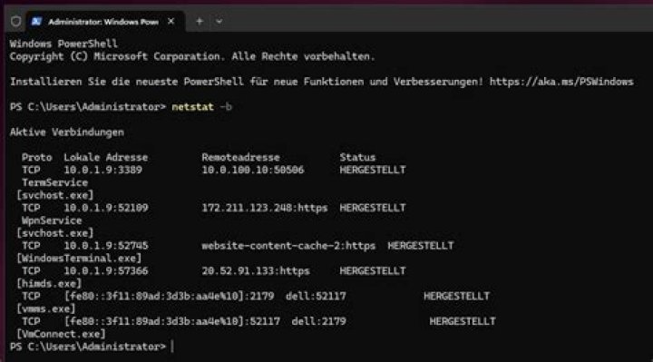 Wie funktioniert netstat?
