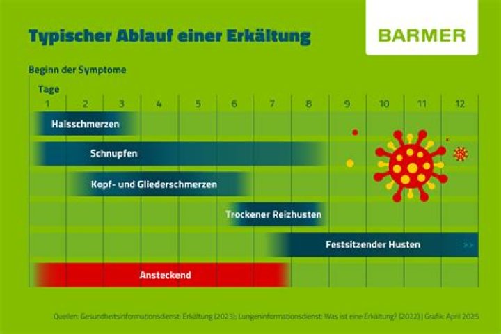 Wie lange dauert es bis man abnimmt?